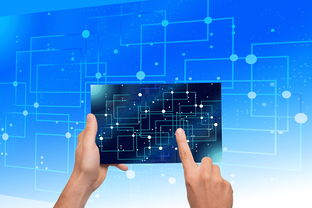 华体会官网介绍-中国篮球青训体系教练员能力评估与发展规划，篮球教练员素养