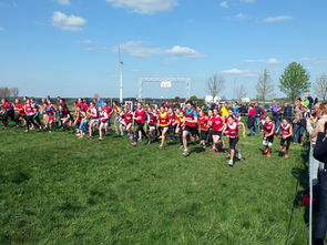 华体会体育入口-中国篮球青少年篮球发展政策落实与推广，中国青少年篮球发展现状