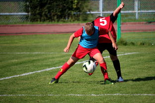 华体会app评价-篮球运动员训练负荷监控系统开发与应用研究，篮球运动员运动负荷量